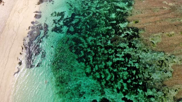 Luftaufnahme-von-Strand-mit-türkisfarbenem-Wasser-in-tropischen-Insel