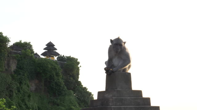 Makaken-sitzt-auf-einer-Mauer-mit-Uluwatu-Tempel-im-Hintergrund-auf-bali