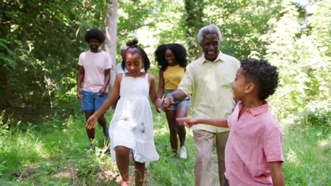 Multi-familia-de-generación-negro-caminando-en-bosque
