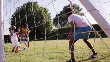 Multi-familia-de-generación-negro-jugando-al-fútbol-en-el-jardín