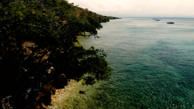 4K-abejón-secuencias-de-orilla-de-la-isla-de-Menjangan-Bali-aguas-cristalinas