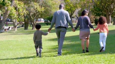 Multiethnische-Familienglück-zu-Fuß-und-Hand-in-Hand