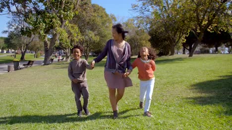 Glückliche-asiatische-Mutter-Hand-in-Hand-mit-afroamerikanischen-Kindern
