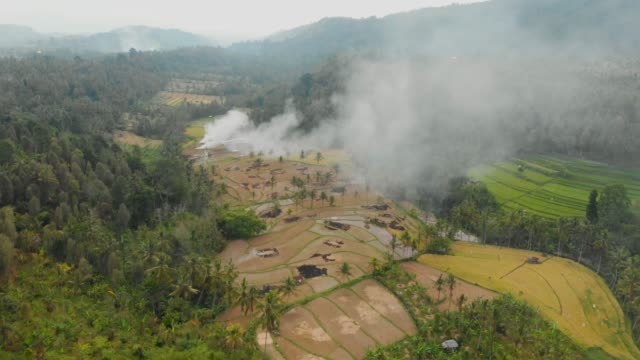 Terrazas-de-arroz,-cocoteros-y-bosque-en-Bali.-Video-aéreo