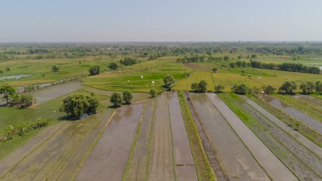 Reisfeld-und-landwirtschaftlich-genutzten-Flächen-in-Indonesien