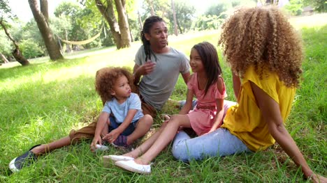 Una-familia-afroamericana-tranquila-bajo-un-árbol-en-el-parque