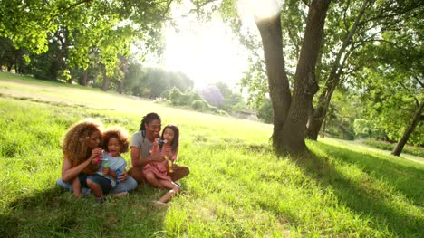 Junge-afrikanische-amerikanische-Familie-für-die-wertvolle-Zeit-mit-der-Familie-im-Park