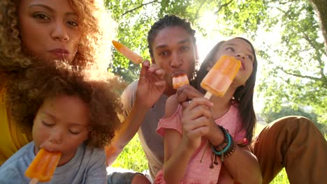 Young-attractive-couple-eating-ice-cream-in-the-sun-with-children