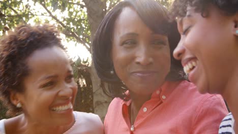 Black-mother-and-adult-daughters-talking-in-garden,-close-up