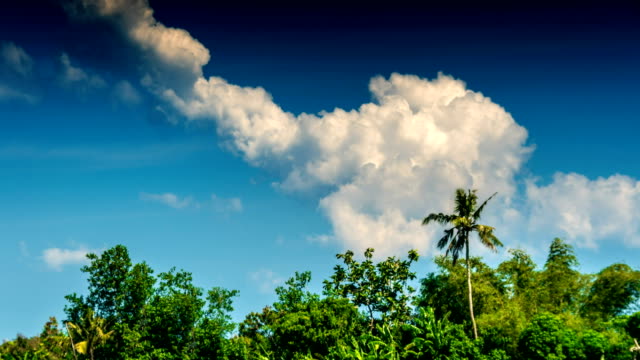 Lapso-de-tiempo-tropical-árboles-y-nubes