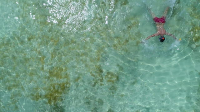 Man-swimming-in-the-caribbean-sea-near-Punta-Cana-beach,-aerial-view