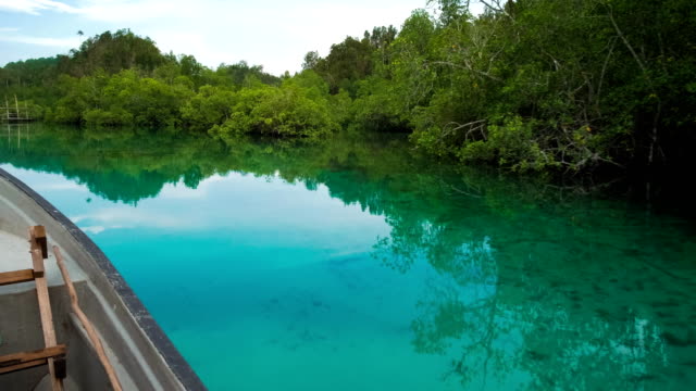 Versteckte-Bucht,-Boot-bewegen-über-blaue-Flachwasser,-Mangrove-Reflexion-auf-ruhigen-Oberfläche,-Raja-Ampat,-West-Papua,-Indonesien