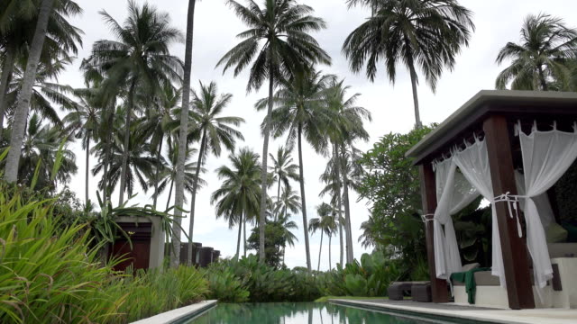 A-view-of-the-territory-of-the-tropical-resort-with-the-pool-palm-trees