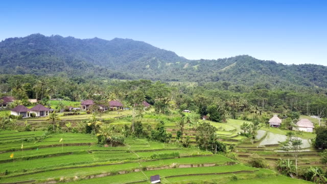 Luftaufnahme-von-Drohne-auf-Reisterrassen-von-Berg-und-Haus-des-Bauern.-Bali,-Indonesien.-UHD-4K