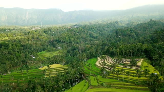 Aerial-Video-über-Reisterrassen