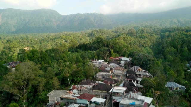 Kleines-Dorf-zwischen-tropischen-Bäumen