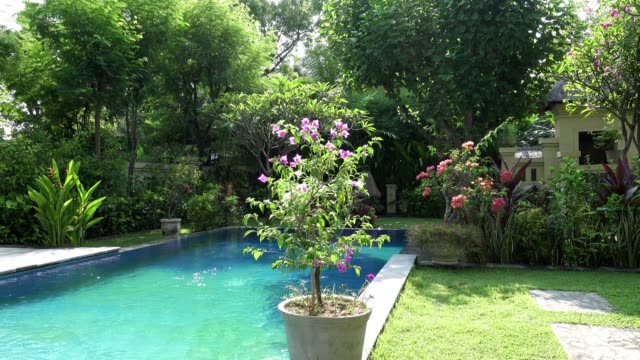 The-camera-moves-on-a-tropical-garden-with-the-pool-lengthways-the-blossoming-trees.-Bali.-Indonesia.