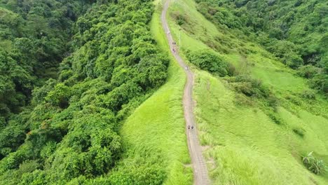 Amazing-Aerial-View-Campuhan-Ridge-Walk-in-Sunlight