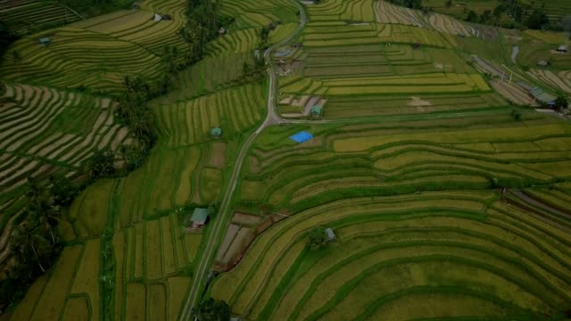 Aerial-view-of-rice-terraces-in-Ubud,-Bali,-Indonesia--Drone-point-of-view-4K-resolution,-filmed-in-Jatiluwih-rice-terraces,-Asia.