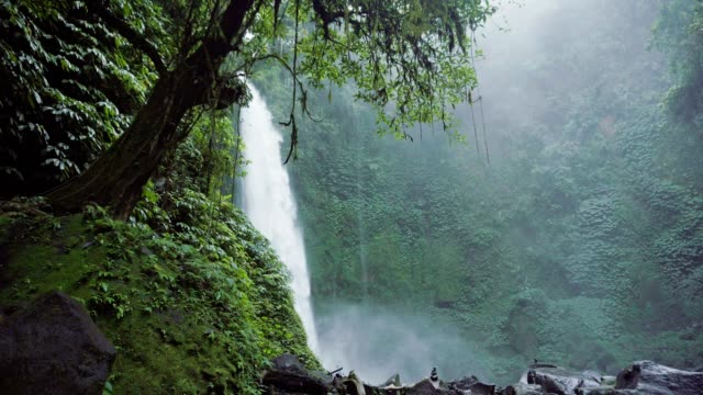 Nung-Nung-Wasserfall-mit-mächtiger-Strom-in-Bali,-Indonesien.-Tropischer-Wald-und-Wasserfall
