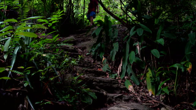 The-man-descends-the-stone-steps-in-the-jungle