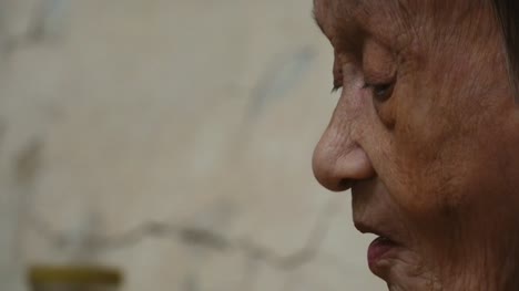 90-years-old-up-of-healthy-old-asian-woman-having-lunch,side-view.