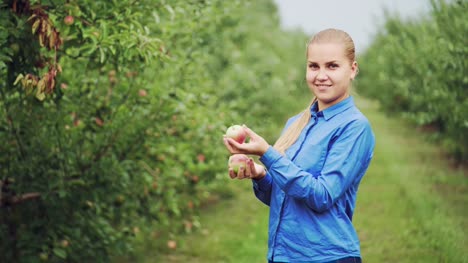 woman-hand-picking-an-apple