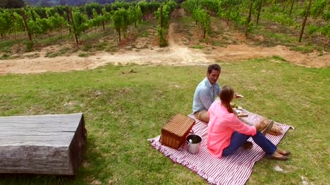 Drone-footage-of-couple-having-a-picnic