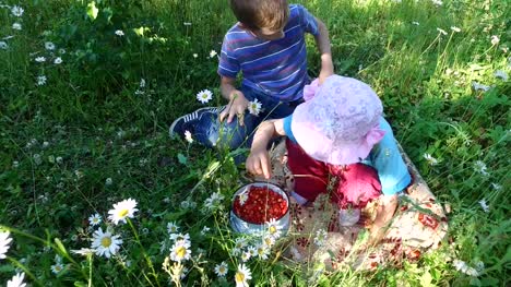Teen-boy-and-girl-child-eats-wild-strawberry-on-the-meadow.