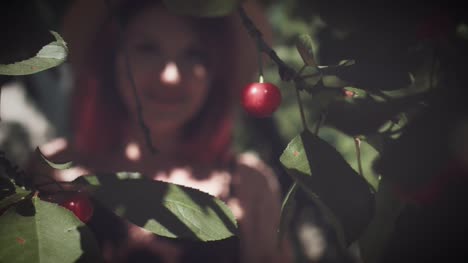 4K-verano-tiro,-mujer-comiendo-cerezas-del-árbol