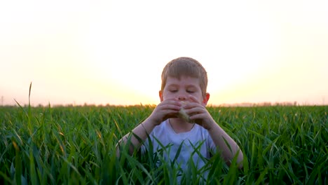 small-boy-rise-from-grass-with-bread-at-arms,-cute-child-eats-bread-into-green-field,-kid-with-bakery-into-hands-on-nature