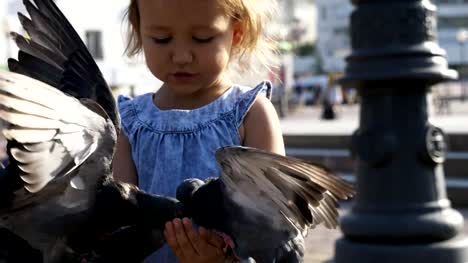 Niña-linda-calle-palomas-en-el-parque-en-verano-día-4K-lenta-de-la-alimentación