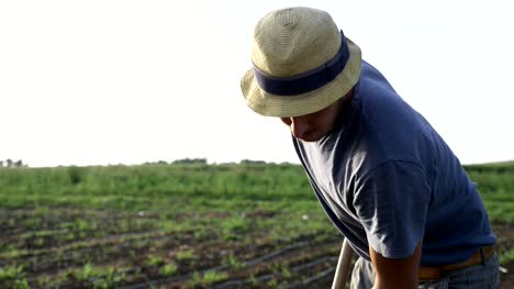 Agricultor-elimina-las-malas-hierbas-por-azada-en-campo-del-maíz-con-crecimiento-joven-organick-eco-Farm