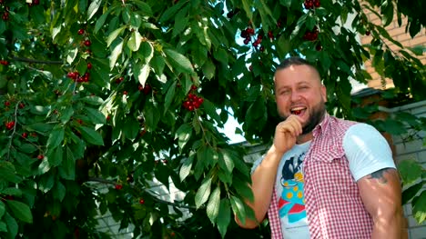 Porträt-der-glückliche-junge-Mann-reißt-eine-Kirsche-vom-Baum-und-im-Garten-essen