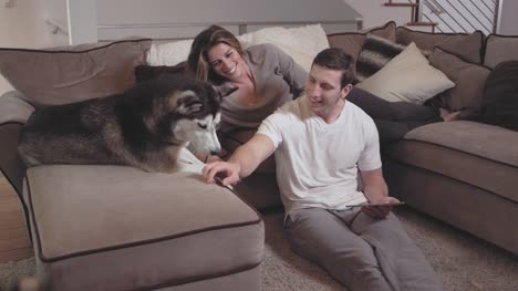 Young-loving-couple-give-a-treat-to-their-adorable-dog-while-relaxing.