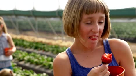 Mädchen,-Essen-Erdbeeren-in-der-Farm-4k