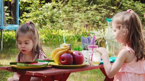 zwei-kleine-Mädchen-trinken-Limonade-bei-einem-Sommerpicknick