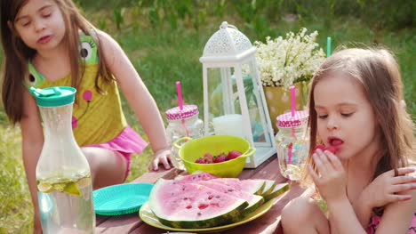 zwei-Mädchen-essen-Erdbeeren-auf-ein-Sommerpicknick