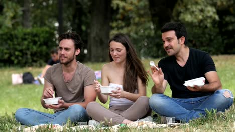 plaudern-Sie,-entspannen-Sie,-Essen,-Natur-entspannt-glücklich-Freunde-machen-Picknick