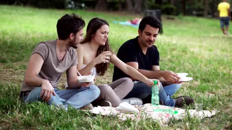 Amigos-comiendo-y-hablando-de-tener-Picnic-en-el-parque-en-verano