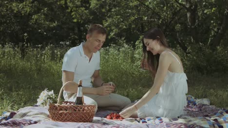 Relaxed-couple-drinking-champagne-on-picnic