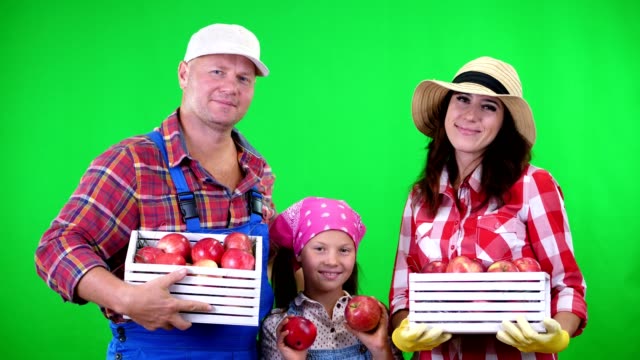 Retrato-de-familia-de-agricultores,-sosteniendo-en-sus-manos-las-cajas-de-madera-con-maduras-manzanas-orgánicas,-Sonriente,-sobre-fondo-verde-en-estudio.-Alimentos-saludables-a-tu-mesa