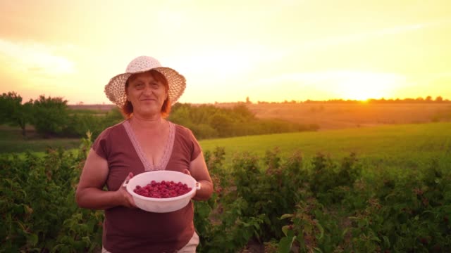Portrait-of-a-woman-in-white-pants,-a-brown-T-shirt-and-a-white-hat-with-a-bowl-of-raspberries-on-the-sunset-background,-a-raspberry-picker