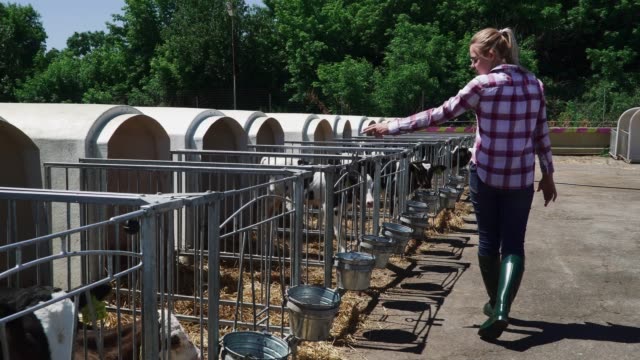 Blond-woman-is-walking-near-cow-fences