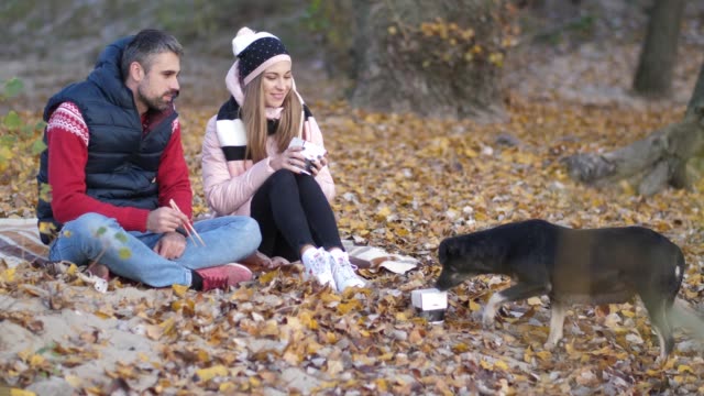 A-young-couple-on-the-beach-feeds-the-dog-with-Chinese-food.-The-sand.-Yellow-leaves.-Autumn-4K-Slow-Mo
