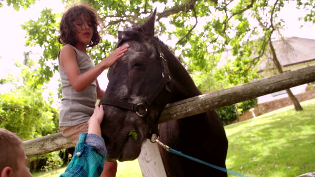 Wenig-hispanische-junge-füttern-Pferd-eine-Karotte-und-Petting-ihn