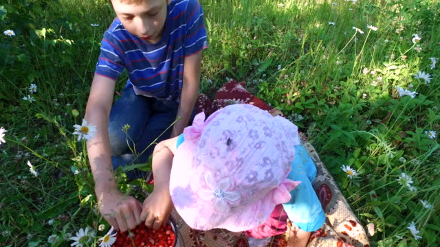 Teen-Boy-und-Girl-Kind-isst-wilde-Erdbeeren-auf-der-Wiese.
