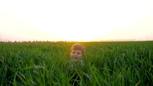 niño-se-esconde-en-la-hierba,-niño-pequeño-come-pan-en-campo-verde,-chico-lindo-con-panadería-en-manos-sobre-la-naturaleza-de-la-luz-del-sol
