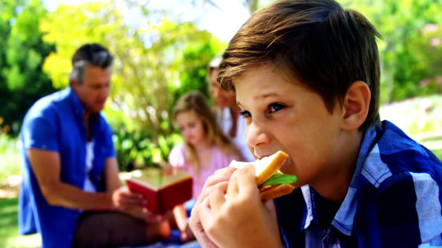 Boy-having-sandwich-in-picnic-at-park-4k