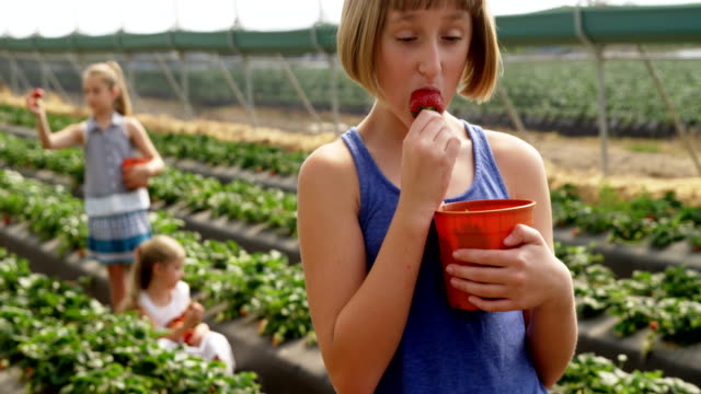 Chica-comiendo-fresas-en-la-granja-4k